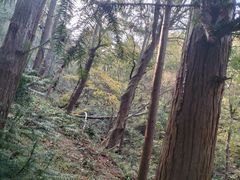-冶父山国家森林公园