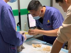 -半岛宠物医院24小时(科华中路店)