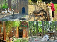 -昆山城市生态森林公园