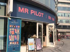门面-飞行喵MR PILOT|猫舍·猫咖(静安大融城店)