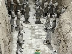 -秦始皇帝陵博物院(兵马俑)