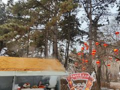 -长春市南湖公园