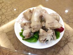 -蔡阿水羊肉店