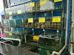 水产区-蚝专家(北滘店)