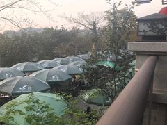 -老幺泉水鸡