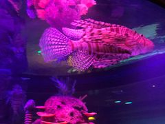 -沈阳海洋探索中心