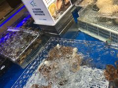 -盒马鲜生(枣园路店)
