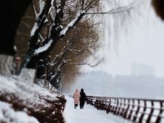 -长春市南湖公园