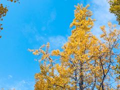 -苏州河梦清园环保主题公园