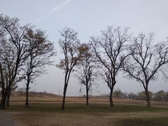 -汉长安城未央宫国家考古遗址公园