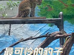 -广州长隆野生动物世界