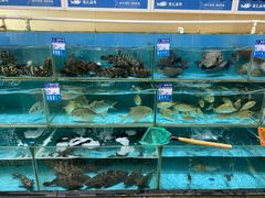 水产区-强记海鲜·大排档(蛇口新街店)