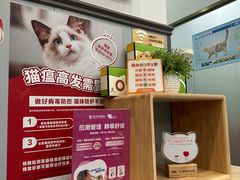 -伟伟宠物医院·瑞派猫友好医院·猫科(光谷店)