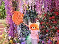 -正佳雨林生态植物园