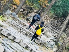 -北京鹫峰国家森林公园