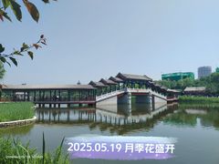 -西海子公园