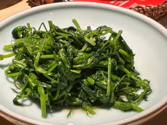 清炒豌豆尖-渝信川菜(长安店)