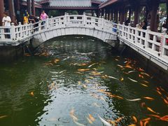 -惠州西湖丰渚园