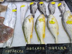 -渔码头食府(蓬莱阁店)
