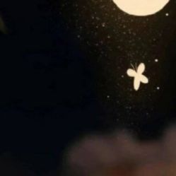-凡碧诗毛孔收细