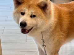 -YCHL Studios健身工作室(市二宫店)