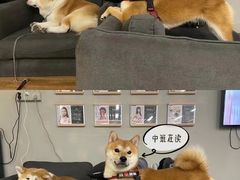 -YCHL Studios健身工作室(市二宫店)