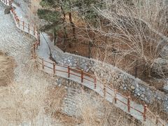 -北京西山国家森林公园