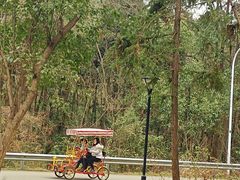 -青龙山国家森林公园