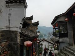 -后柳水乡