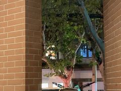 -星巴克(红房子店)