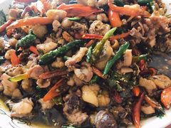 -陈有良尖椒鸡(江津总店)