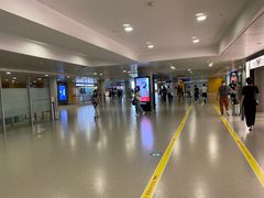 -龙阳路磁悬浮列车总站-停车场