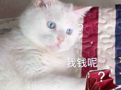 -府城小食馆(金龙宾馆店)