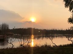 -白鹭湾湿地公园