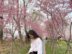 -福建鲤鱼洲酒店