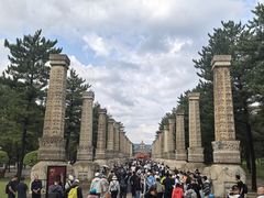 -郝刚刚羊杂割(柳巷店)