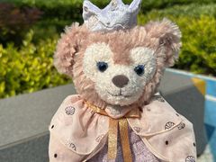 -阳澄湖半岛旅游度假区
