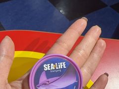 -沈阳海洋探索中心