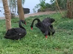 -上海怡沁园度假酒店