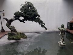 -觀芷隐轩