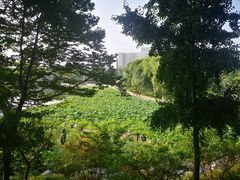 -郭守敬纪念馆