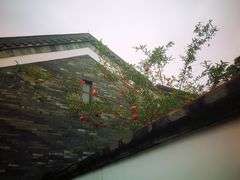 -广州神农草堂中医药博物馆
