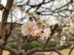 -北京明城墙遗址公园