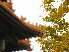 -故宫博物院(故宫)