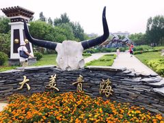 -武清南湖绿博园