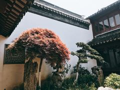 -檀园