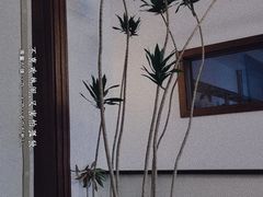 -不正咖啡(万达尊店)