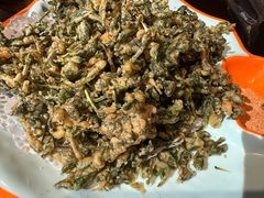 -向外鱼乐·土菜·虹鳟鱼