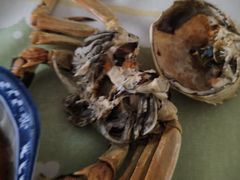 -上海龙吴水胜海发市场