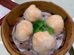 -南枝记